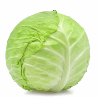Cabbage 