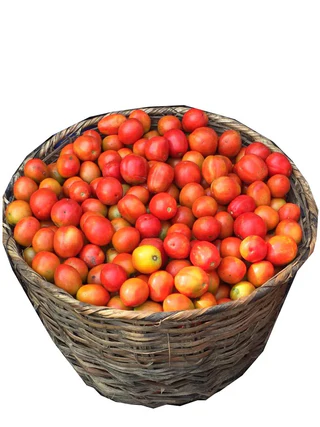 Tomatoe  Big Basket (round seed) 