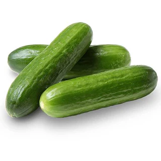 Cucumber 