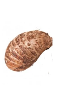 Cocoyam  (Small) 2