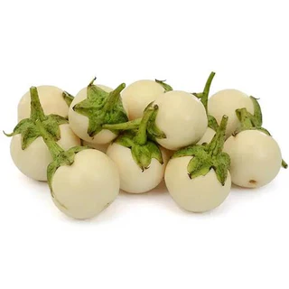 Garden Egg - White