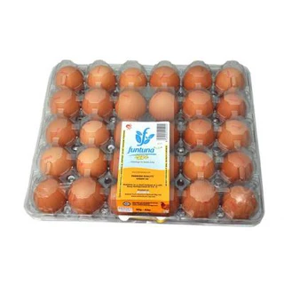 Funtuna Egg - 1 create