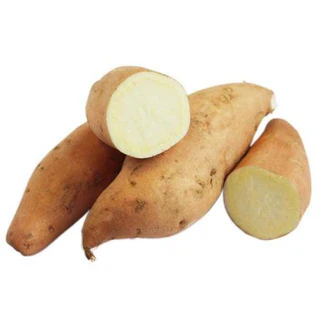 Sweet potato  