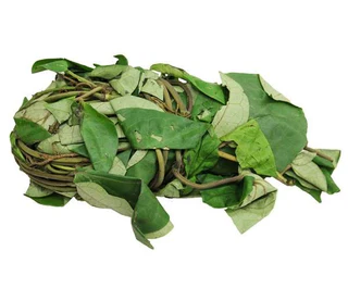 Uzazi Leaf 